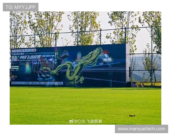 重庆飞盘队与成都飞盘队耐力对决赛后深度分析与总结