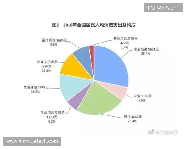 武汉极限运动队的秘密探索与控制机制深度剖析
