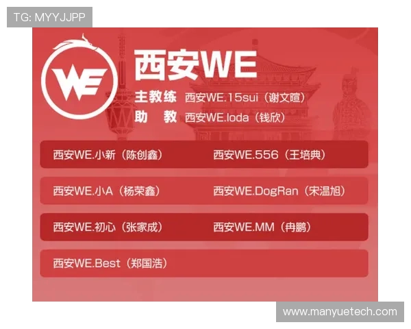 王者荣耀深度解析：探讨WE战队的游戏意识与团队协作策略